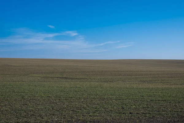 Arkaplan olarak sürülmüş tarla ve mavi gökyüzü. 