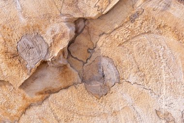 Arka plan olarak bir yığın kuru dal. Ahşap arkaplan. 