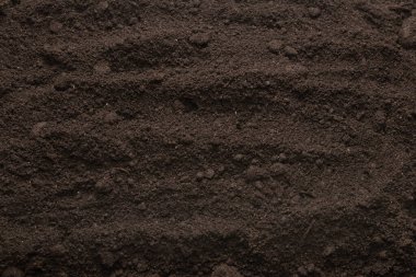 Bitkiler için kara toprak. Üst görünüm. 