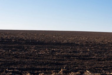 Arkaplan olarak sürülmüş tarla ve mavi gökyüzü. 