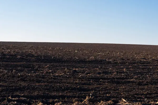 Arkaplan olarak sürülmüş tarla ve mavi gökyüzü. 