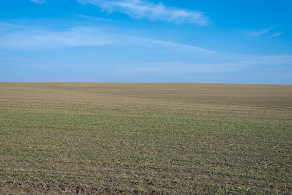 Arkaplan olarak sürülmüş tarla ve mavi gökyüzü. 