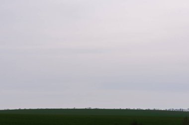 Kırsal alan, mavi gökyüzü, ağaçlar ve bir göl. Bahar manzarası.  