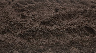 Bitkiler için kara toprak. Üst görünüm. 