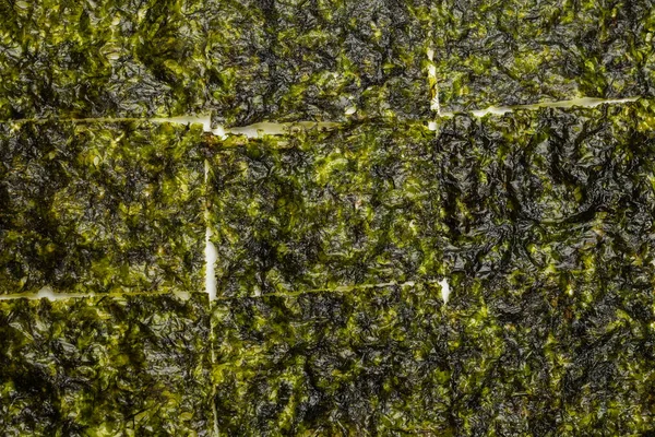 Beyaz arka planda izole edilmiş lezzetli yosun.. 