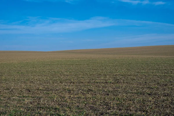Arkaplan olarak sürülmüş tarla ve mavi gökyüzü. 