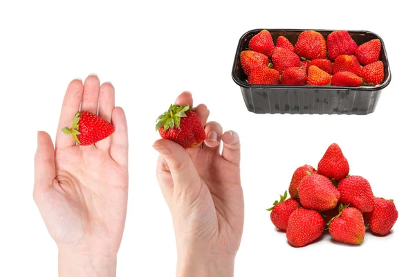 Erdbeere Den Händen Isoliert Auf Weißem Hintergrund — Stockfoto