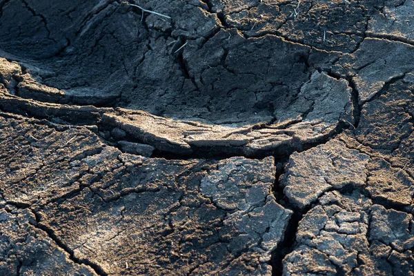 Çatlamış toprak arkaplan olarak kullanılıyor. Üst görünüm. 