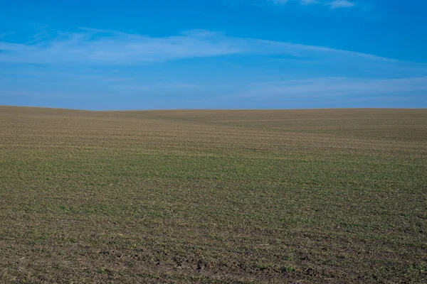 背景としての耕起畑と青空 — ストック写真