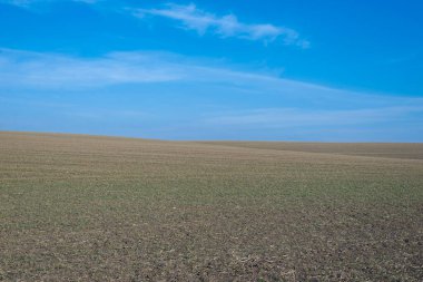 Arkaplan olarak sürülmüş tarla ve mavi gökyüzü. 