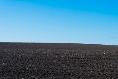 Arkaplan olarak sürülmüş tarla ve mavi gökyüzü. 