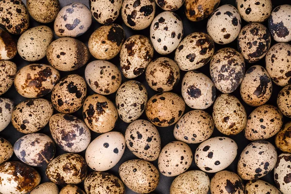 Arka plan olarak bir grup bıldırcın yumurtası. Çiğ yumurta..