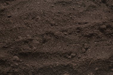 Bitkiler için kara toprak. Üst görünüm. 
