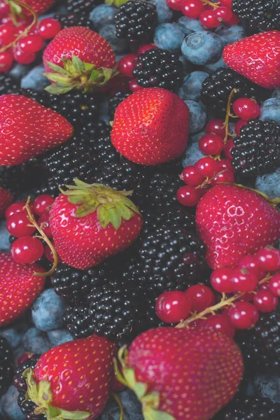 Blackberry, ahududu, yabanmersini, fonda kırmızı frenk üzümü. Üst görünüm. 