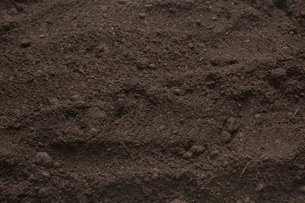 Bitkiler için kara toprak. Üst görünüm. 
