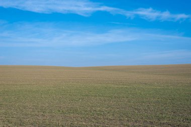 Arkaplan olarak sürülmüş tarla ve mavi gökyüzü. 