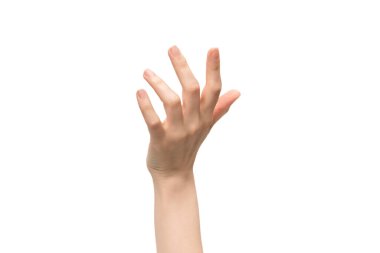 γυναίκα χέρι απομονωθεί σε λευκό φόντο. 