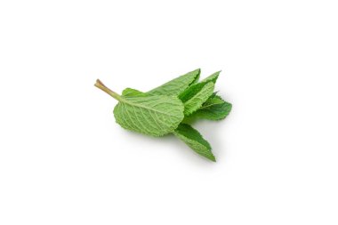Beyaz arkaplanda izole edilmiş taze nane yaprakları.
