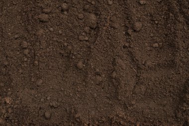 Bitkiler için kara toprak. Üst görünüm. 