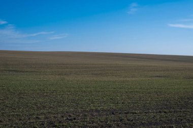 Arkaplan olarak sürülmüş tarla ve mavi gökyüzü. 