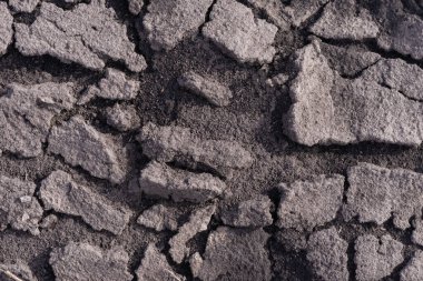 Çatlak toprak ve yeşil çimenler doku olarak kullanılıyor. Bahar. Üst görünüm. 