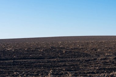 Arkaplan olarak sürülmüş tarla ve mavi gökyüzü. 