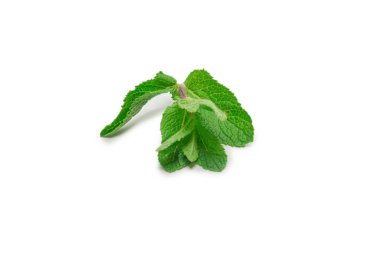Beyaz arkaplanda izole edilmiş taze nane yaprakları.
