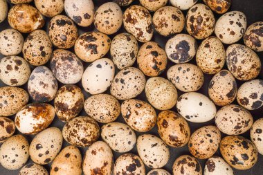 Arka plan olarak bir grup bıldırcın yumurtası. Çiğ yumurta..