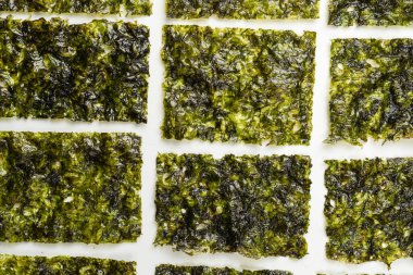 Beyaz arka planda izole edilmiş lezzetli yosun.. 