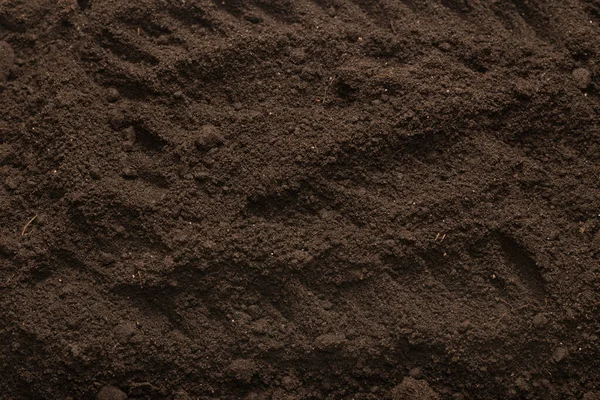 Bitkiler için kara toprak. Üst görünüm. 