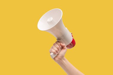 Megaphone in woman hands on a white background.  Copy space.  clipart