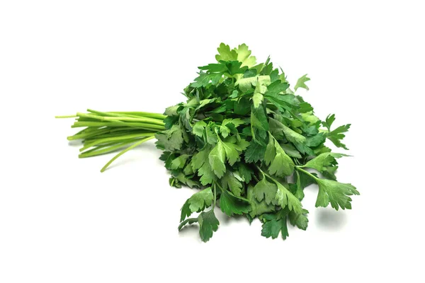 Bunch Parsley Isolated White Background — Stock Photo, Image