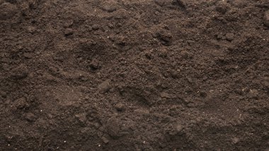 Bitkiler için kara toprak. Üst görünüm. 