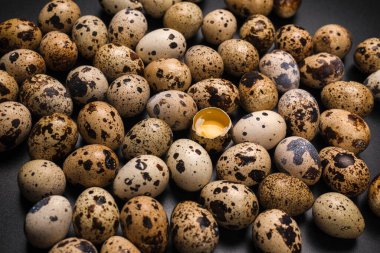 Arka plan olarak bir grup bıldırcın yumurtası. Çiğ yumurta..