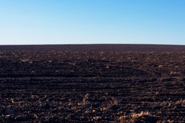 Arkaplan olarak sürülmüş tarla ve mavi gökyüzü. 