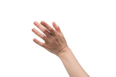 γυναίκα χέρι απομονωθεί σε λευκό φόντο. 