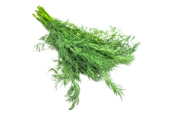 Ein Bündel Dill Isoliert Auf Weißem Hintergrund — Stockfoto