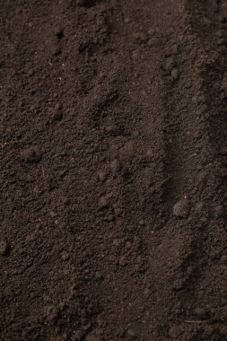Bitkiler için kara toprak. Üst görünüm. 
