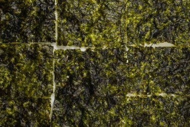 Beyaz arka planda izole edilmiş lezzetli yosun.. 