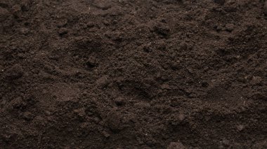 Bitkiler için kara toprak. Üst görünüm. 