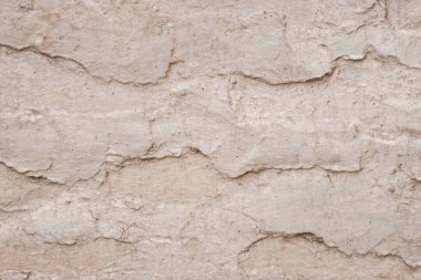 Arkaplan olarak beyaz boyalı duvar. 