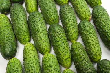 Arka plan olarak taze yeşil cucombers. Üst görünüm. 