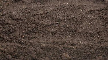 Bitkiler için kara toprak. Üst görünüm. 