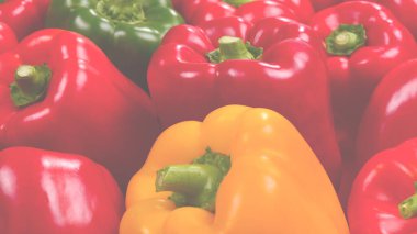 Taze kırmızı, yeşil, sarı dolmalık biber arka planı.
