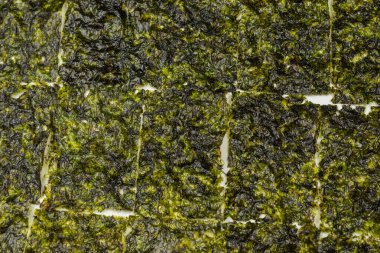 Beyaz arka planda izole edilmiş lezzetli yosun.. 