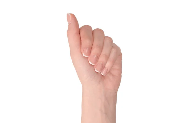 Beyaz Arka Planda Izole Edilmiş Fransız Manikürlü Kadın Elleri — Stok fotoğraf