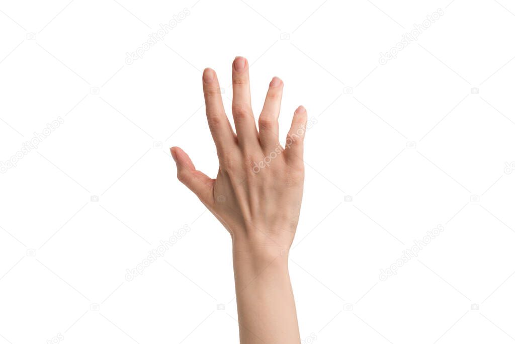 Woman hand isolated on a white background. 