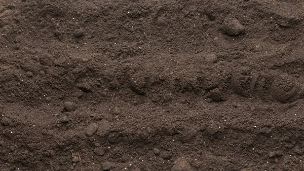 Bitkiler için kara toprak. Üst görünüm. 