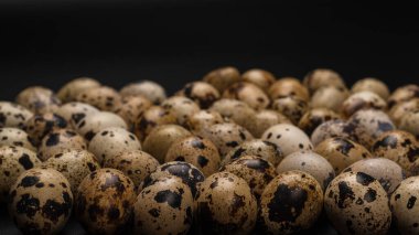 Arka plan olarak bir grup bıldırcın yumurtası. Çiğ yumurta..