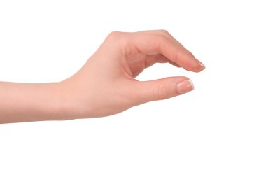 Beyaz arka planda izole edilmiş Fransız manikürlü kadın elleri..